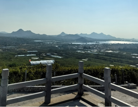 平度大泽山葡萄园引进点点taptap电子游艺土壤肥料检测仪， 轻松掌握土壤营养